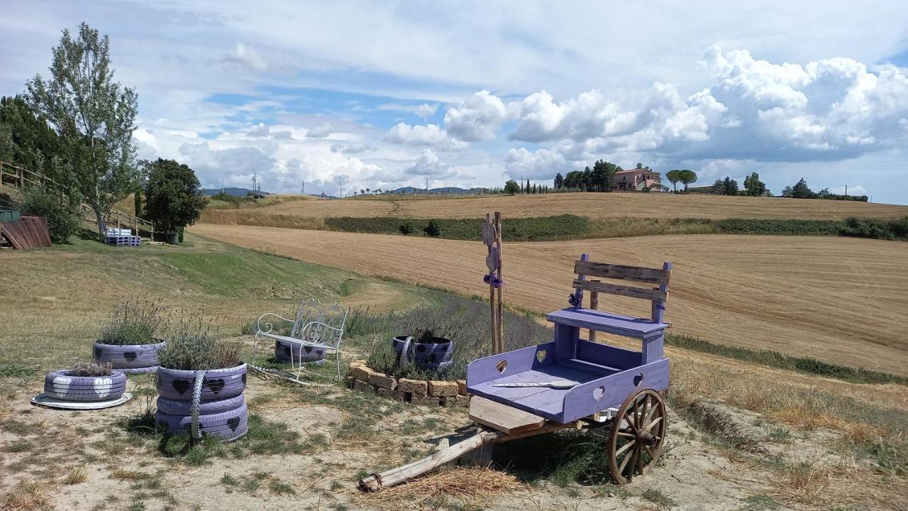 La Quiete Tra Le Vigne Tuscany Collesalvetti Zewnętrze zdjęcie