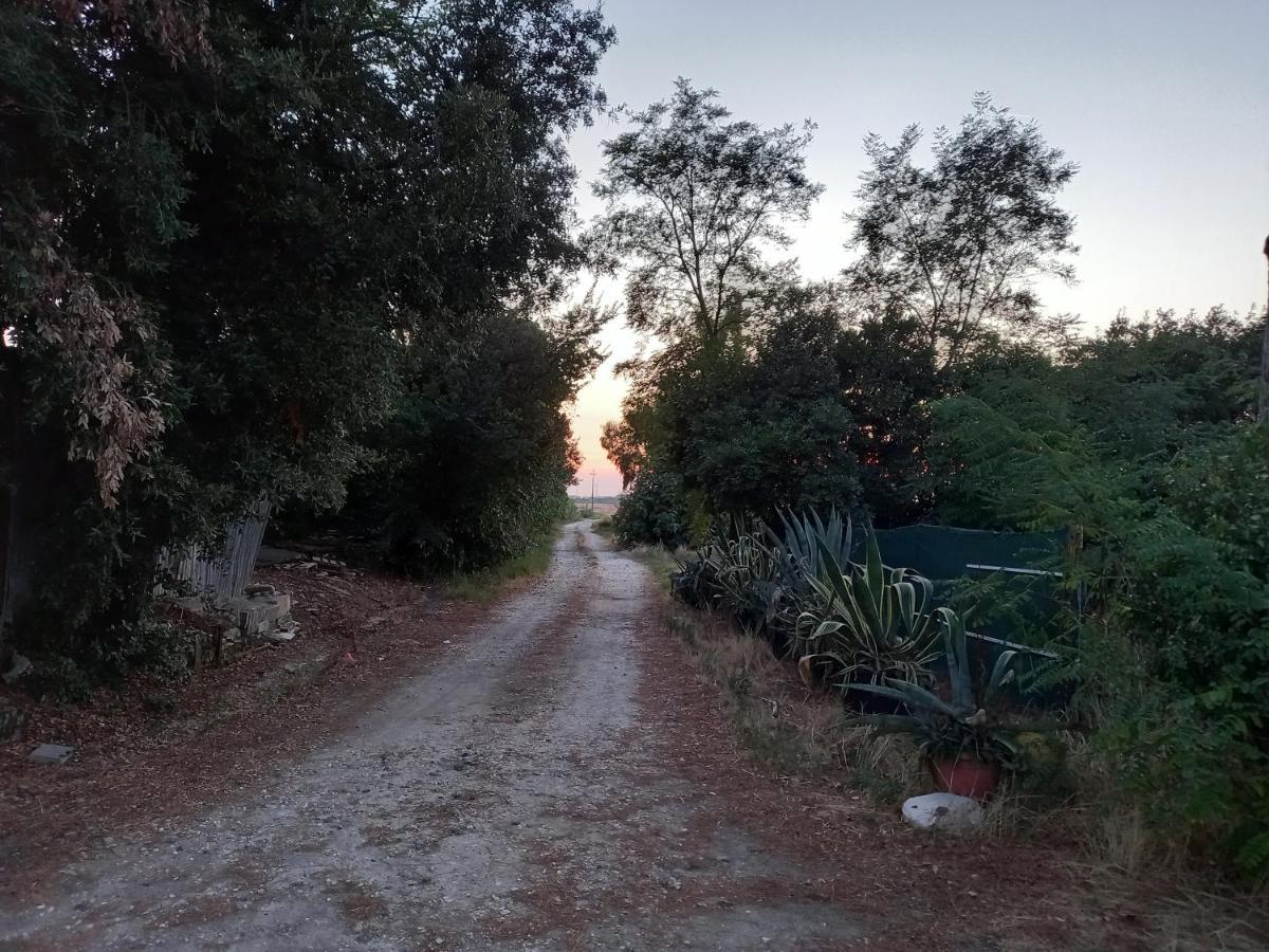 La Quiete Tra Le Vigne Tuscany Collesalvetti Zewnętrze zdjęcie
