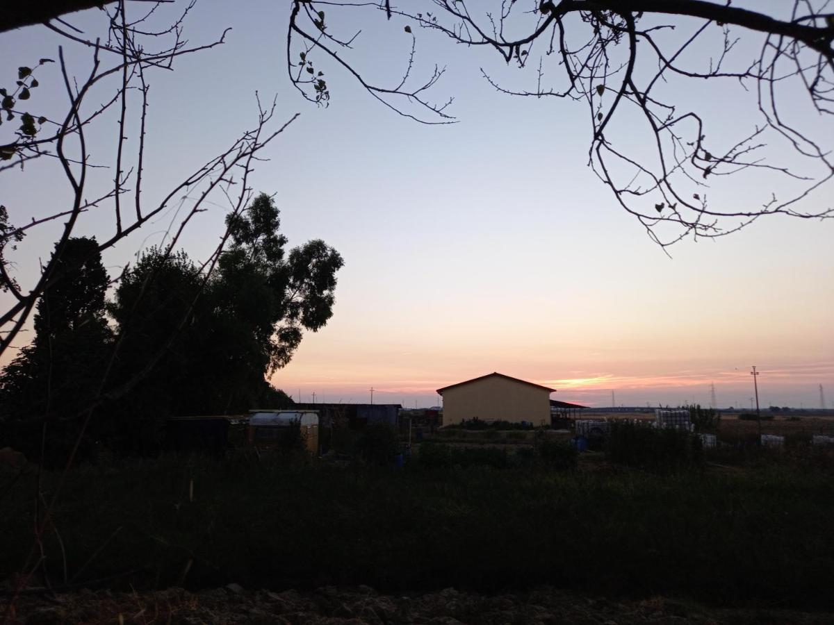 La Quiete Tra Le Vigne Tuscany Collesalvetti Zewnętrze zdjęcie
