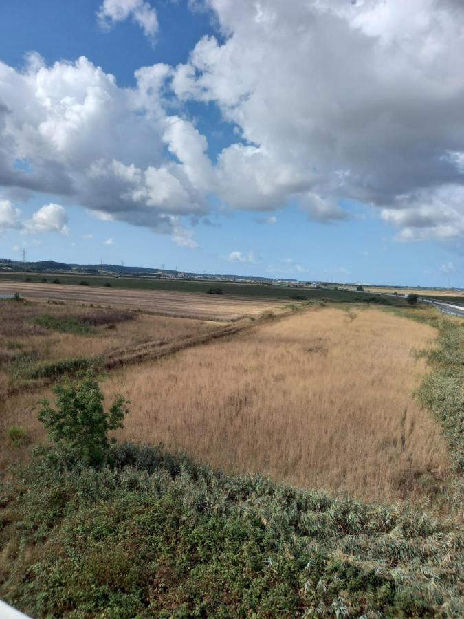 La Quiete Tra Le Vigne Tuscany Collesalvetti Zewnętrze zdjęcie