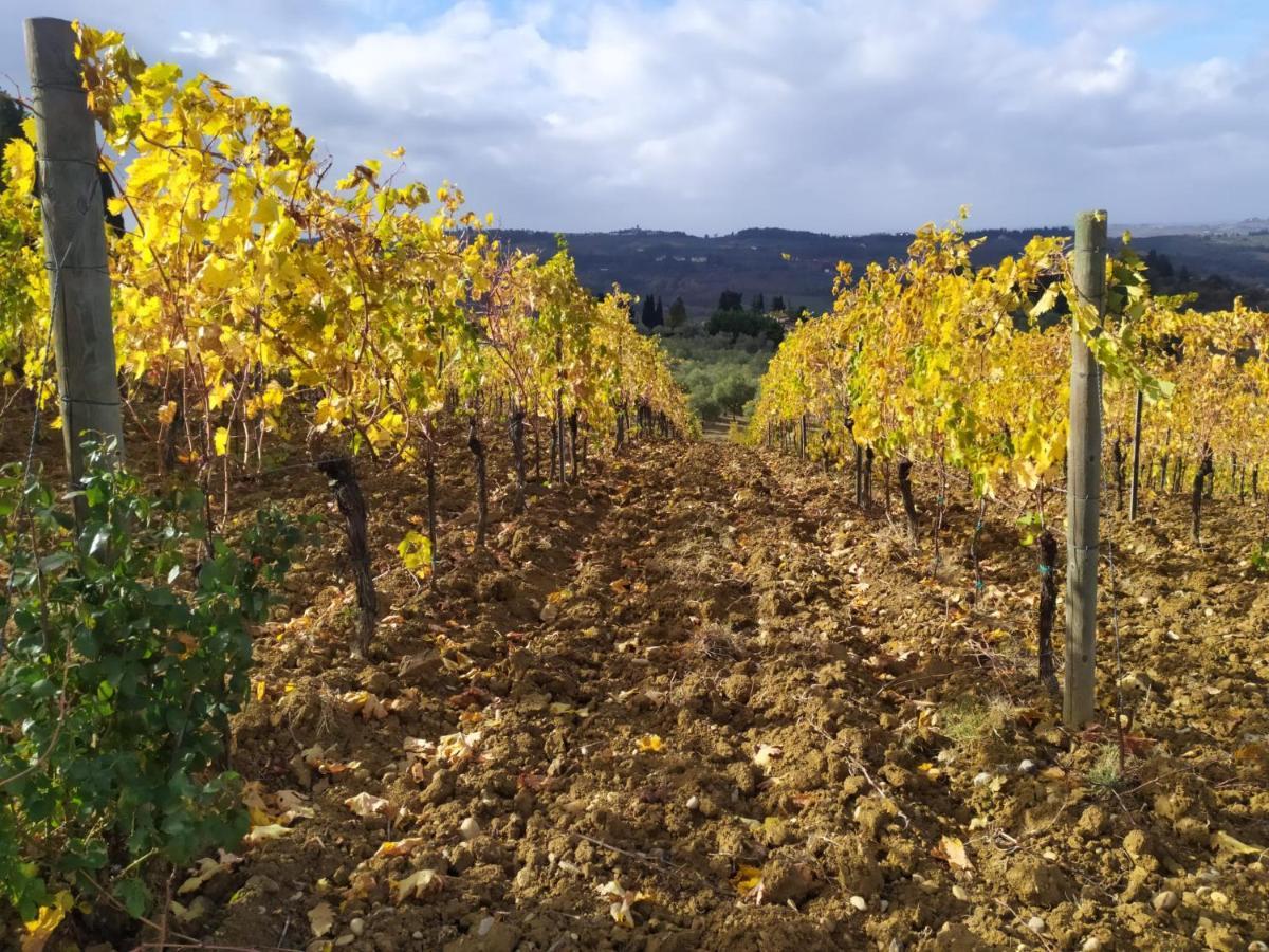 La Quiete Tra Le Vigne Tuscany Collesalvetti Zewnętrze zdjęcie