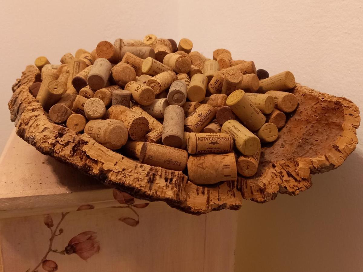 La Quiete Tra Le Vigne Tuscany Collesalvetti Zewnętrze zdjęcie