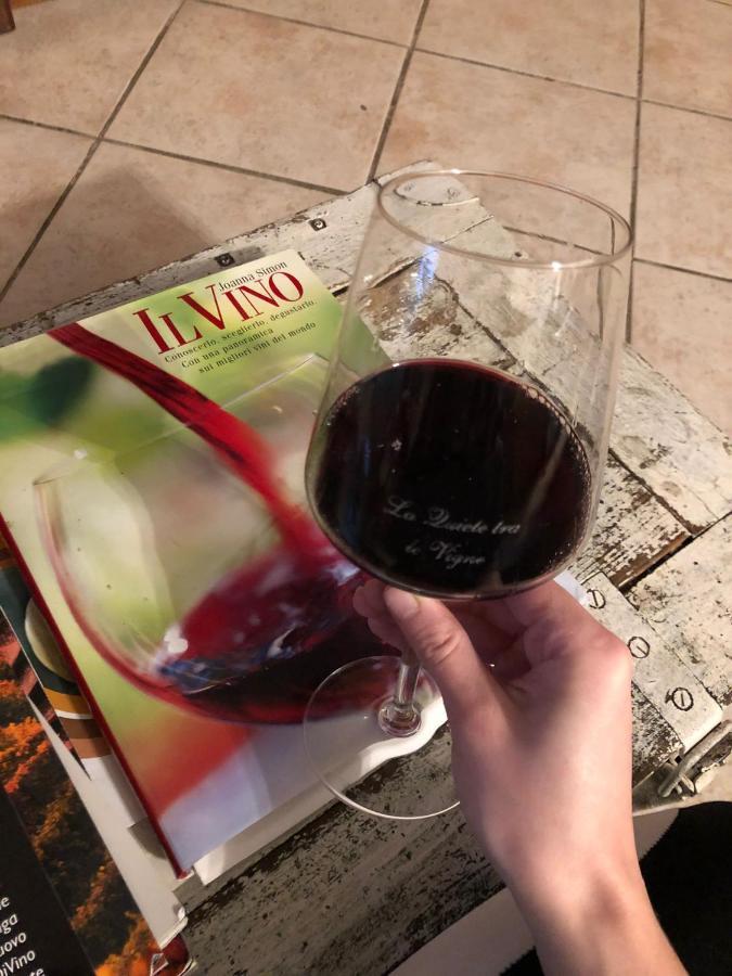 La Quiete Tra Le Vigne Tuscany Collesalvetti Zewnętrze zdjęcie