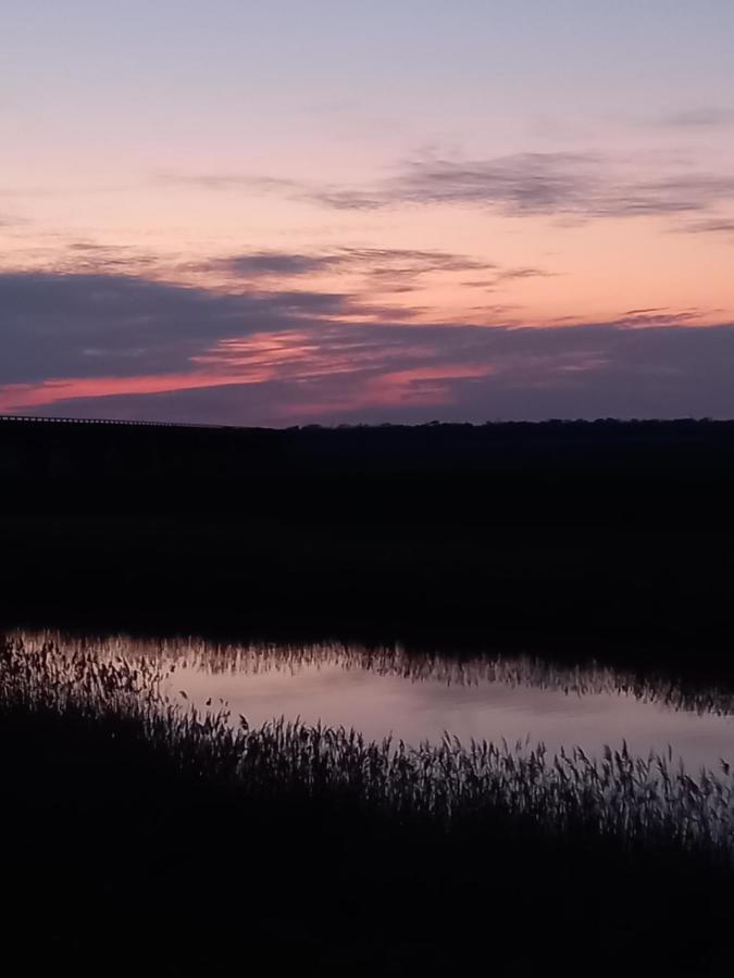 La Quiete Tra Le Vigne Tuscany Collesalvetti Zewnętrze zdjęcie